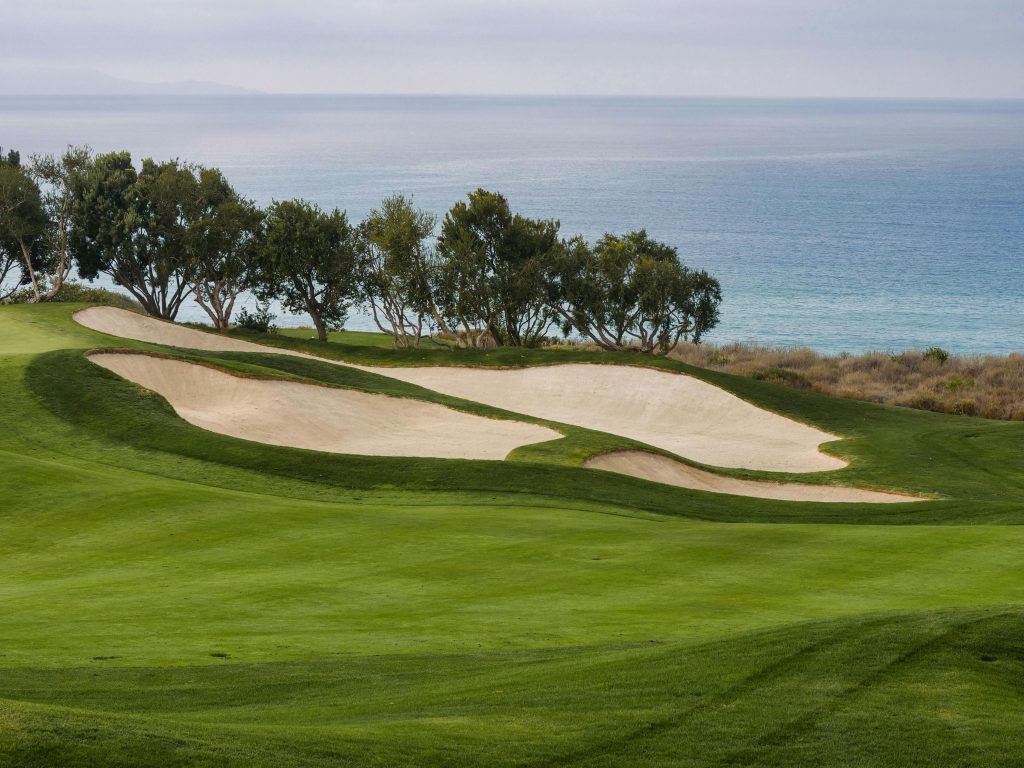 How Professional Turf Providers Elevate Golf Course Aesthetics and Playability