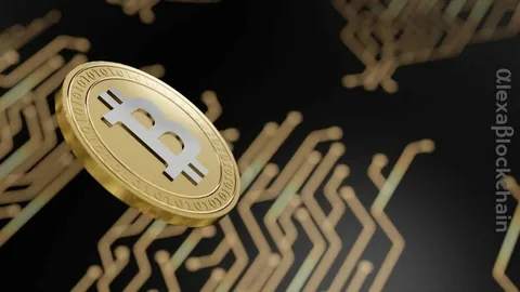 Why Casino Fast Withdrawal Options Matter for Serious Players